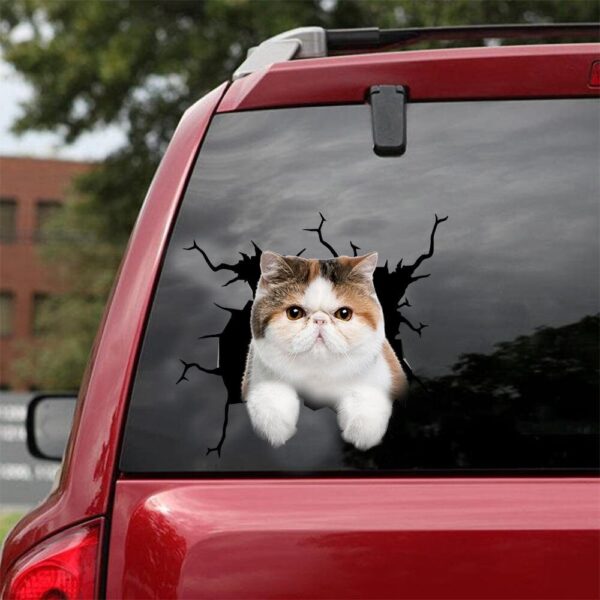 Exotic Cat Decal - fits cars,windows,laptops and any smooth surface,Cat Stickers,Exotic Cat Decals,Custom Exotic Cat Sticker,Animal Stickers