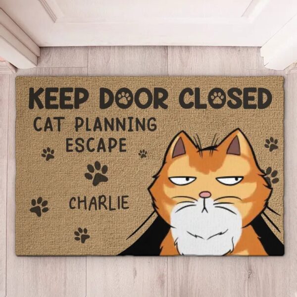 Custom Cat Doormat, Cat Welcome Doormat, Home Sweet Home, Cat Rug, Funny Pet Doormat, Gift For Cat Lovers, Housewarming Gift, Cat Doormat
